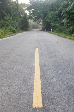dağa yönelik yol