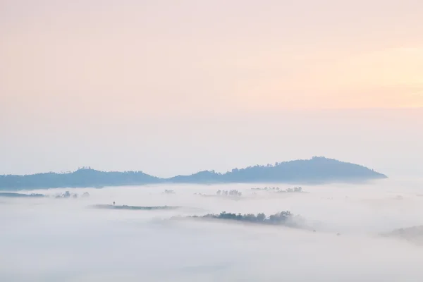 Niebla cubierta montañas y árboles —  Fotos de Stock