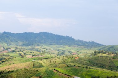 dağlarda tarım alanları
