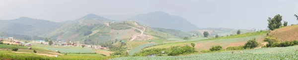 Panorama terres agricoles sur la montagne — Photo