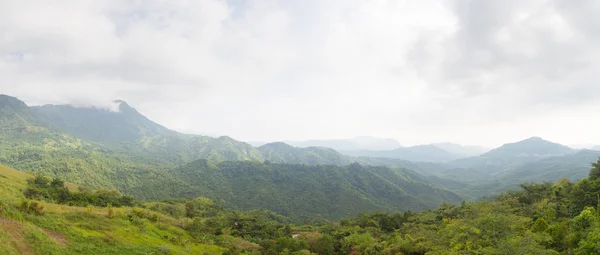 Panorama skog och berg. — Stockfoto