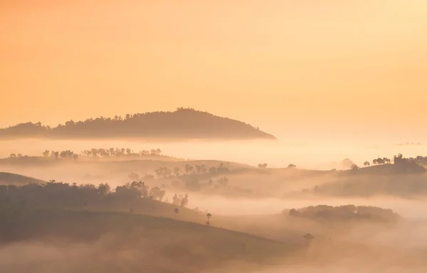 Brouillard couvert de montagnes et de forêts le matin . — Photo