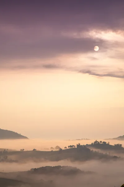 Gündoğumu ve sis — Stok fotoğraf