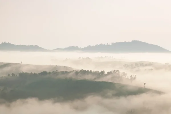Brouillard couvert de montagnes et de forêts le matin . — Photo