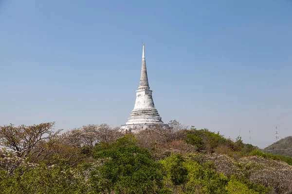 Tempel en pagode — Stockfoto