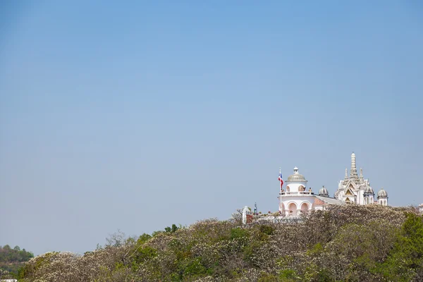 Temple and Pagoda — Stock Photo, Image