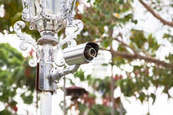 Câmeras de CCTV em postes . — Fotografia de Stock