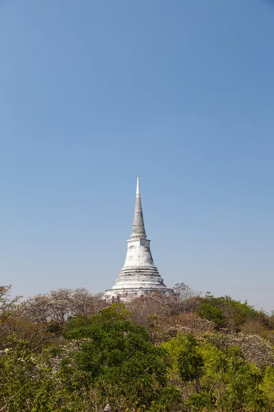 Chrám a pagoda — Stock fotografie