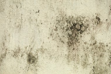 Çimento duvardaki çatlaklar