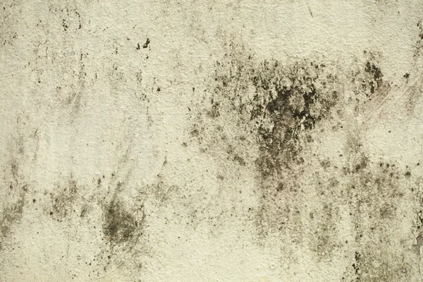 시멘트 벽의 균열 — 스톡 사진