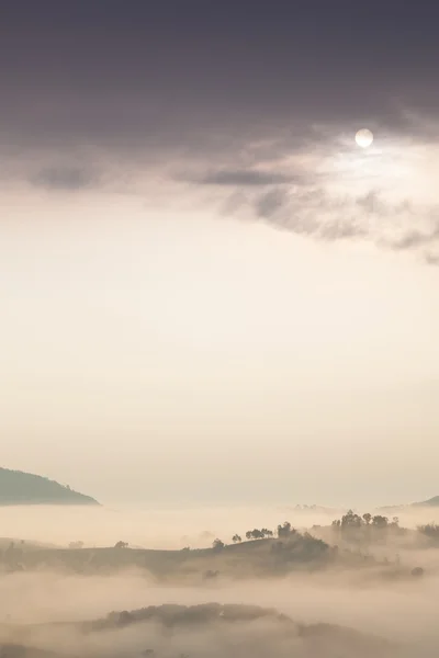 Salida y niebla del sol —  Fotos de Stock