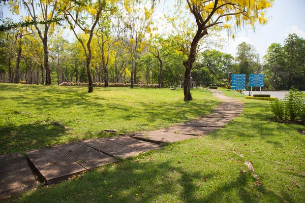 Sidewalk in het park — Stockfoto