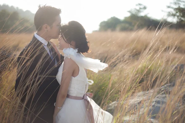 Casal beijando em meio a prados — Fotografia de Stock