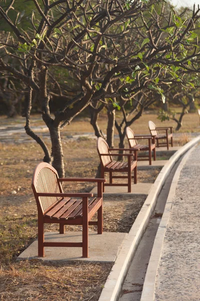 Bench onder een boom — Stockfoto