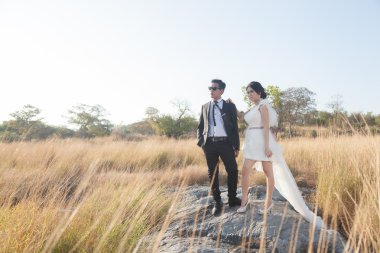 Bir çayır çift ayakta.