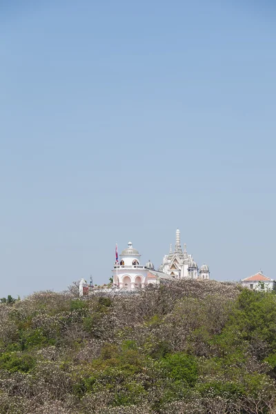 Tempel en pagode — Stockfoto