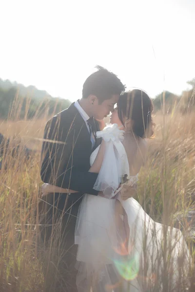 Casal beijando em meio a prados — Fotografia de Stock