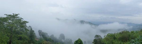 Panorama Nebel bedeckte Bäume — Stockfoto