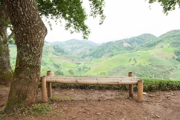 Bench under a tree — Stock Photo, Image