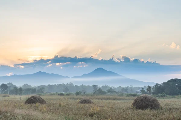 Meadows and mountains in the morning. — Stock Photo, Image