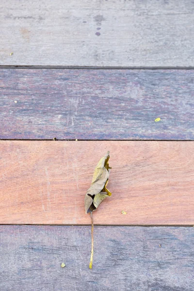 Torkade blad som faller på trägolv. — Stockfoto