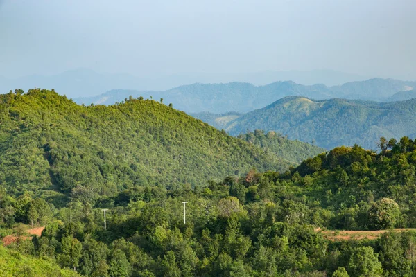 Céu, floresta e montanhas . — Fotografia de Stock