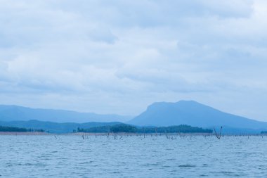 Kuru ağacında ölü Barajı