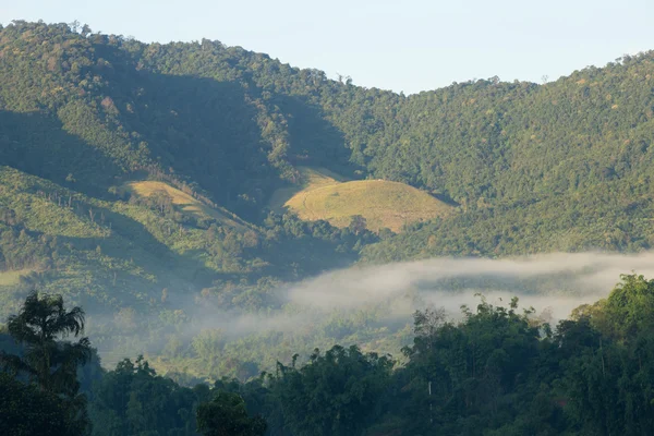 Fog covered mountains — Stock Photo, Image