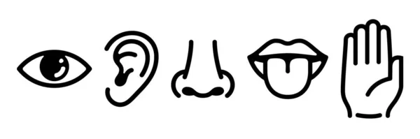 Five human senses icons set. Vision hearing smell touch taste signs Stock Illustration