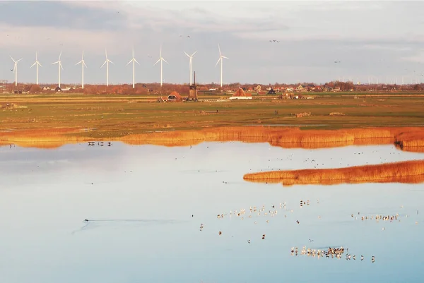 Vögel See Und Umweltfreundliche Energie Hintergrund — Stockfoto