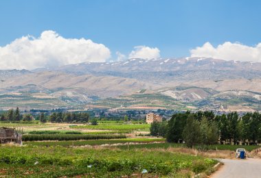 Beqaa (Bekaa) Valley, Baalbeck, Lebanon clipart