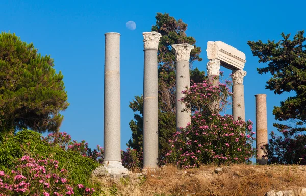 Starożytne rzymskie kolumny w Byblos, Liban — Zdjęcie stockowe