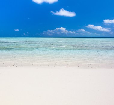 Güzel tropikal beyaz kum plaj ve kristal berrak su. Sipadan Adası, Borneo, Malezya.