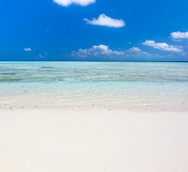 Bella spiaggia tropicale di sabbia bianca e acqua cristallina. Isola di Sipadan, Borneo, Malesia . — Foto Stock