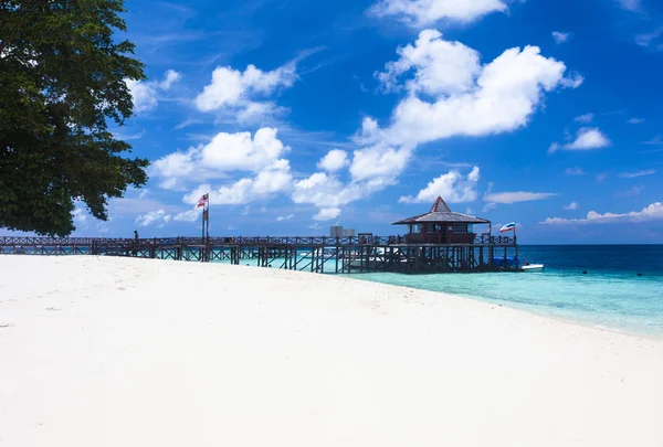 Ana iskele ve Pulau Sipadan adası Borneo, Malezya yakınındaki beyaz kum plaj