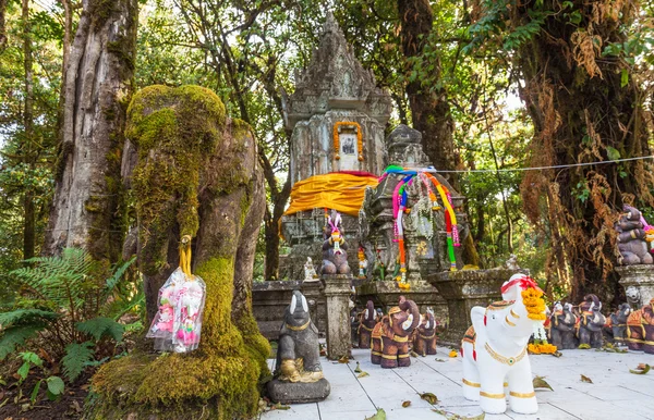 Chedi no topo da montanha Doi Inthanon, província de Chiang Mai, Tailândia — Fotografia de Stock