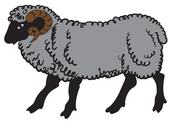 Grande carneiro —  Vetores de Stock