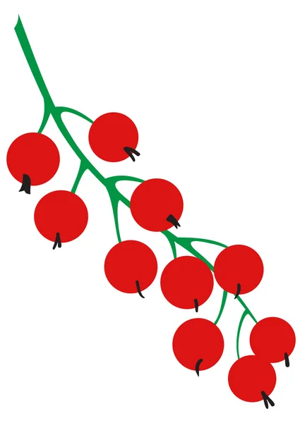 Brin de groseilles rouges — Image vectorielle
