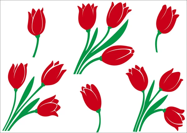 Conjunto de tulipanes — Vector de stock