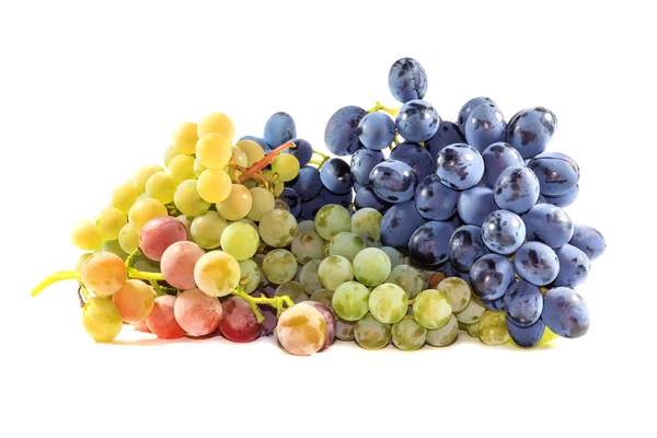 Гроздья спелого винограда — стоковое фото