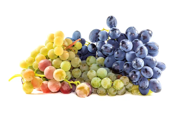 Cachos de uvas maduras — Fotografia de Stock