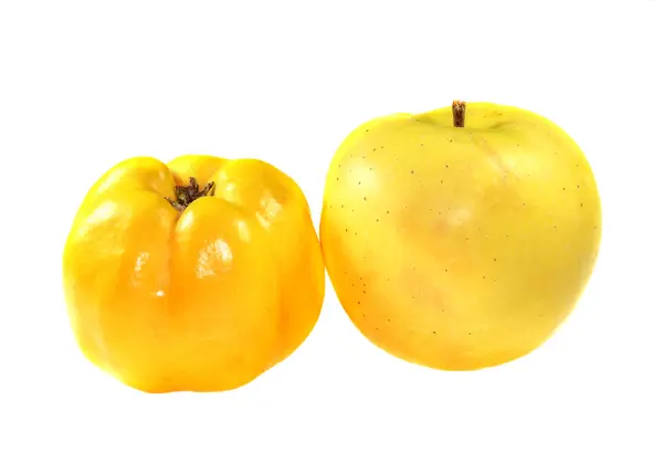 Куинс и яблоко — стоковое фото