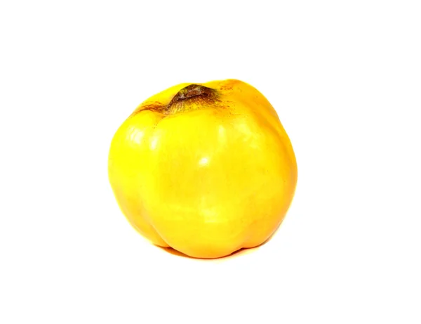 Спелые плоды айвы — стоковое фото