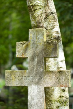 Sainte-Genevive-des-Bois, Sainte Genevieve des Bois, Liers, Russian cemetery in France clipart