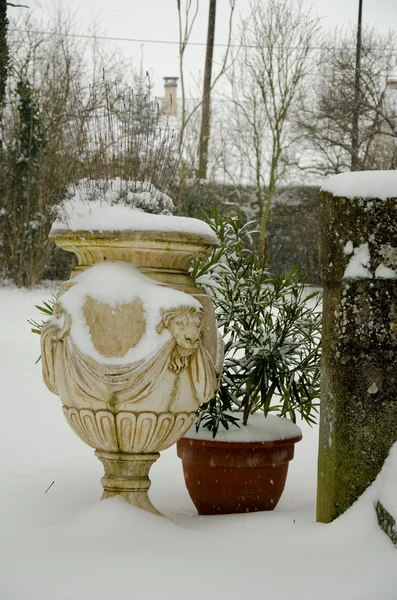 Beginning of winter, end of autumn, leaves under snow