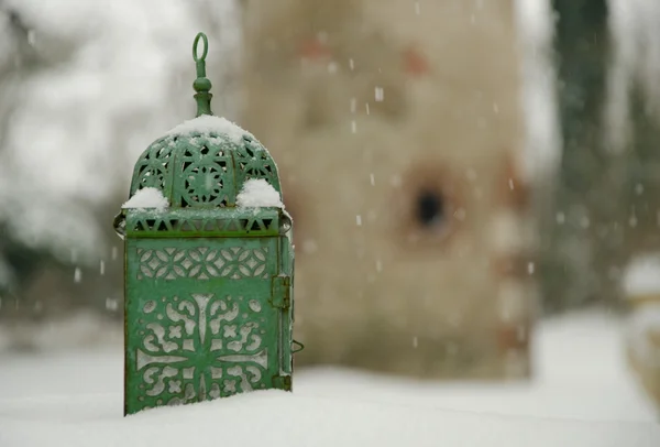 Beginning of winter, end of autumn, leaves under snow