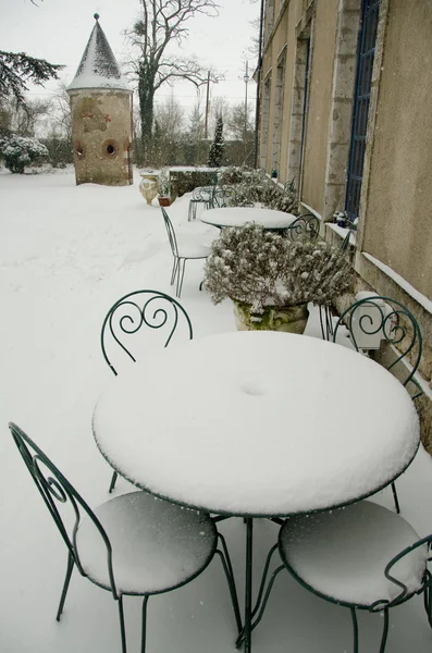 Beginning of winter, end of autumn, leaves under snow