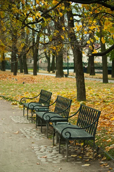 Глубокая осень в парке, деревья и желтые листья — стоковое фото