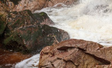 Sonbaharda şelale ve nehir ıslak renkli yaşamlar