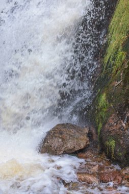Sonbaharda şelale ve nehir ıslak renkli yaşamlar
